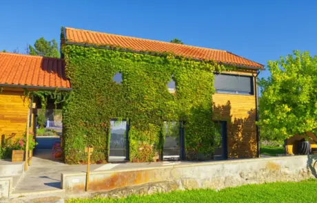 Exterior Casa de Pedra | Pinheiro Grande