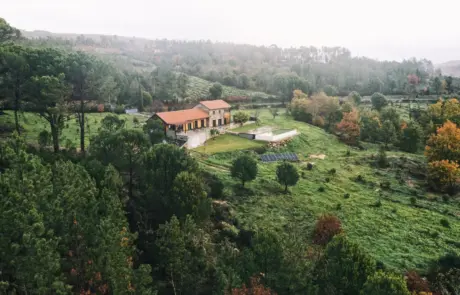 Quinta da Lage Alta | Pinheiro Grande