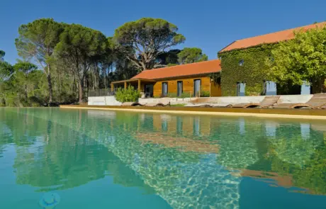 Quinta da Lage Alta | Pinheiro Grande