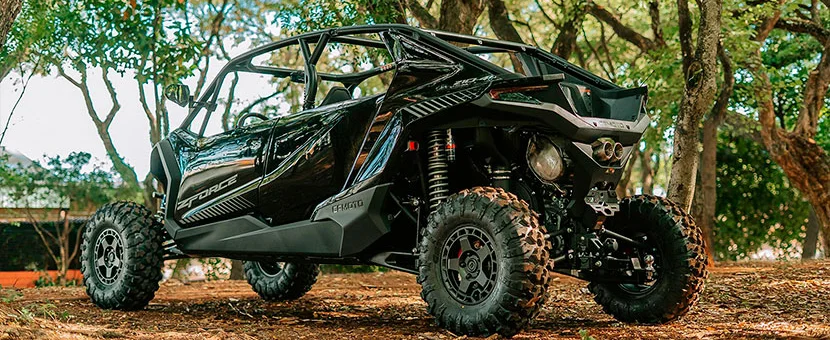 Buggy CF Z10 de 4 lugares | Pinheiro Grande