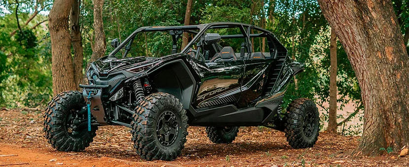 Buggy CF Z10 de 4 lugares | Pinheiro Grande